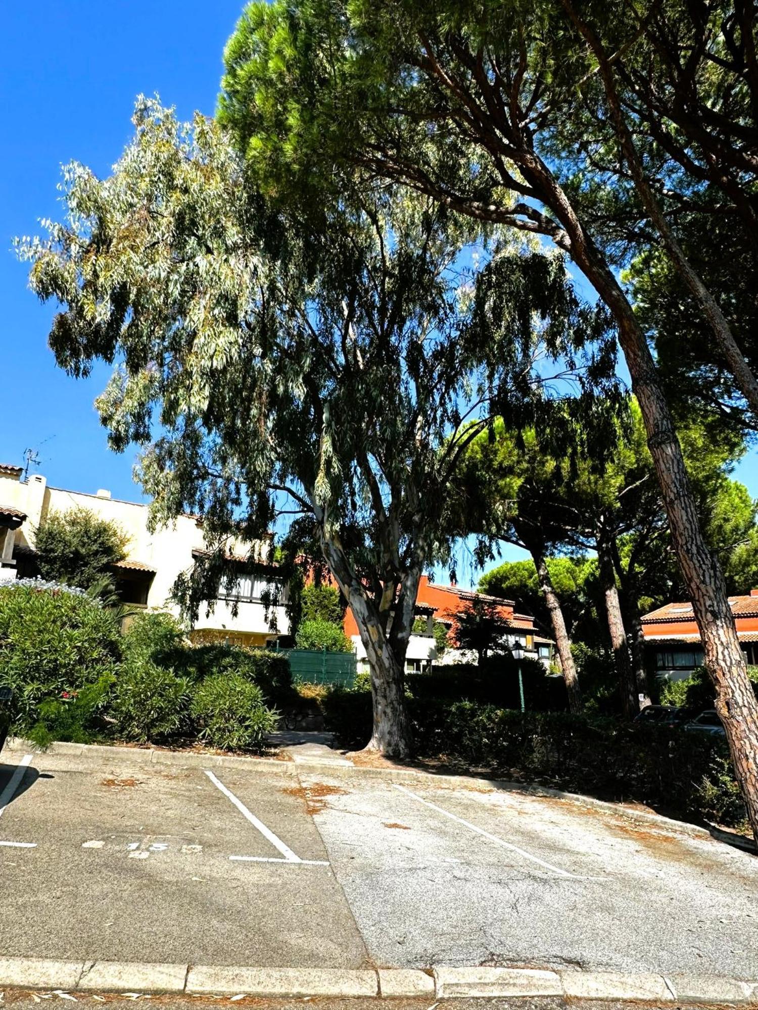 Frejus - Appartement 4 Personnes - Piscine Екстериор снимка